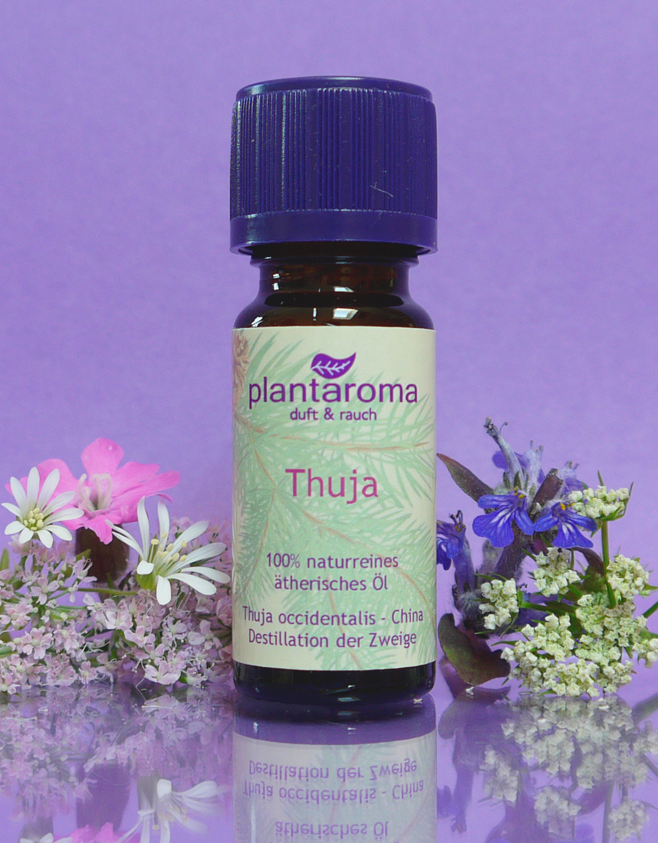 Thuja, 100 % naturreines ätherisches Öl