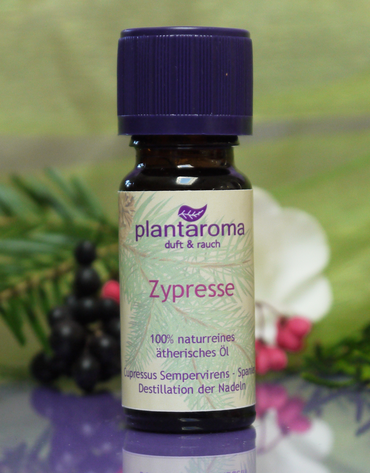 Zypresse, 100 % naturreines ätherisches Öl
