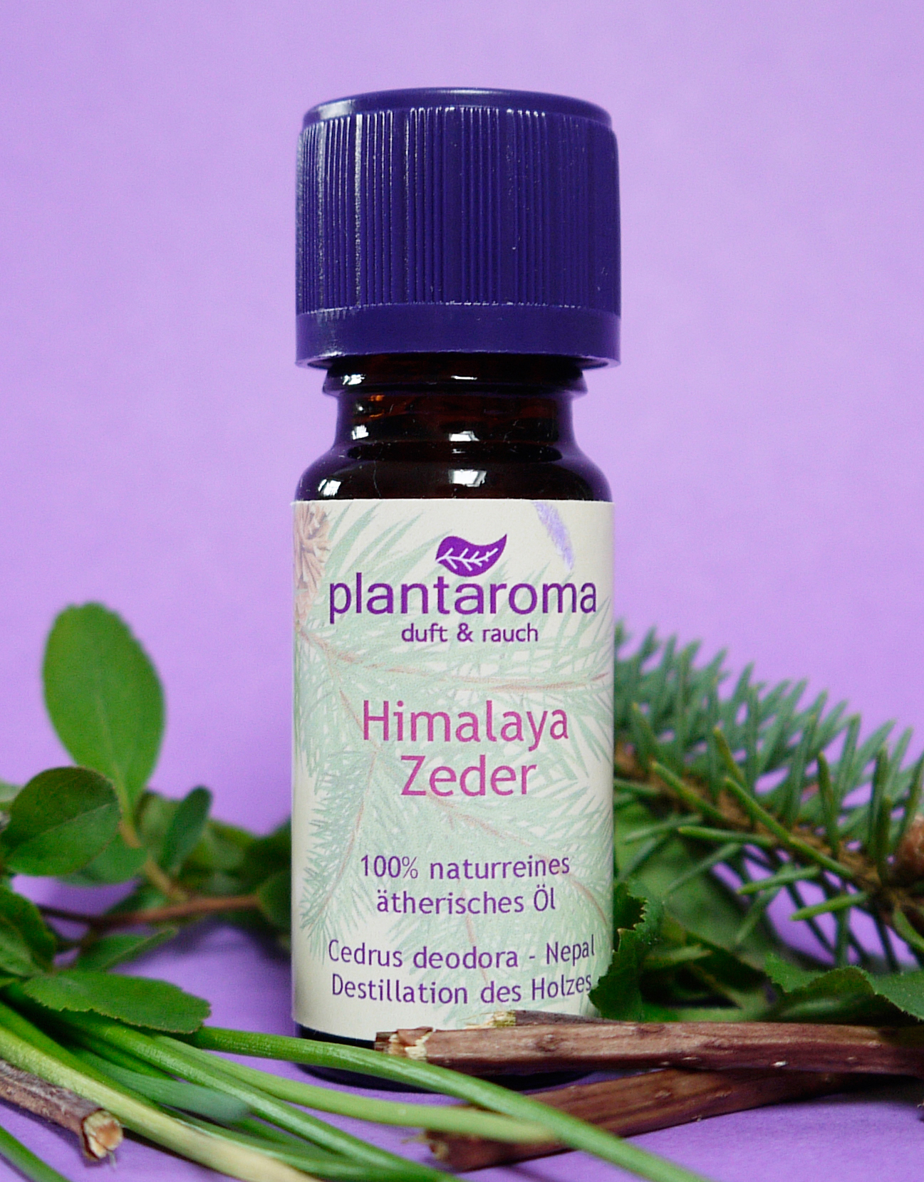Himalaya-Zeder, 100 % naturreines ätherisches Öl