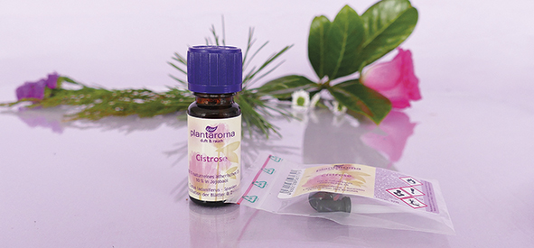 Cistrose 10 % in Jojoba