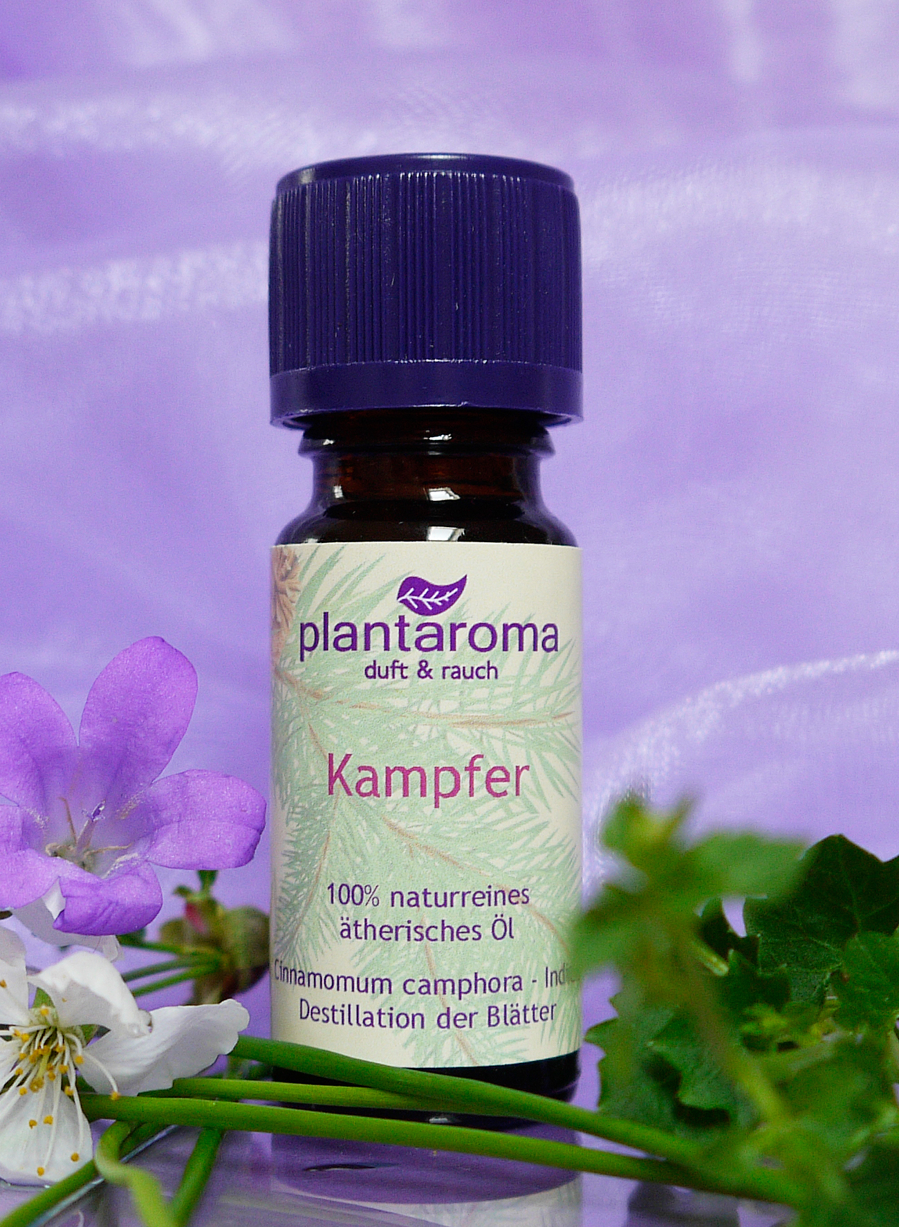 Kampfer, 100 % naturreines ätherisches Öl
