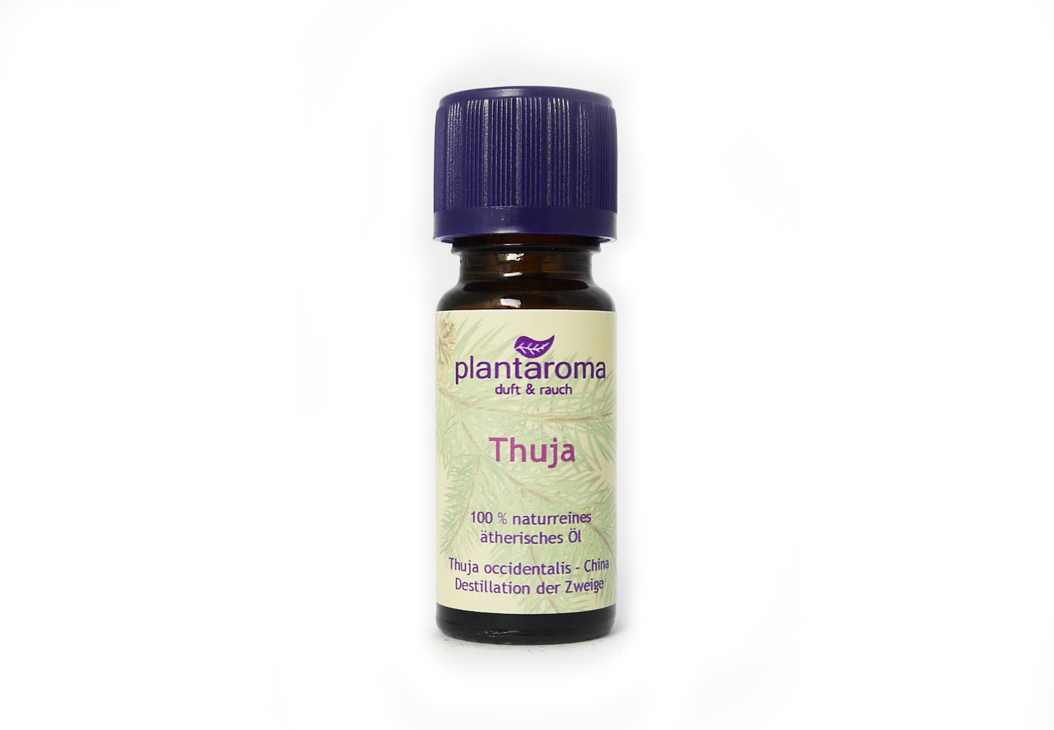 Thuja, 100 % naturreines ätherisches Öl
