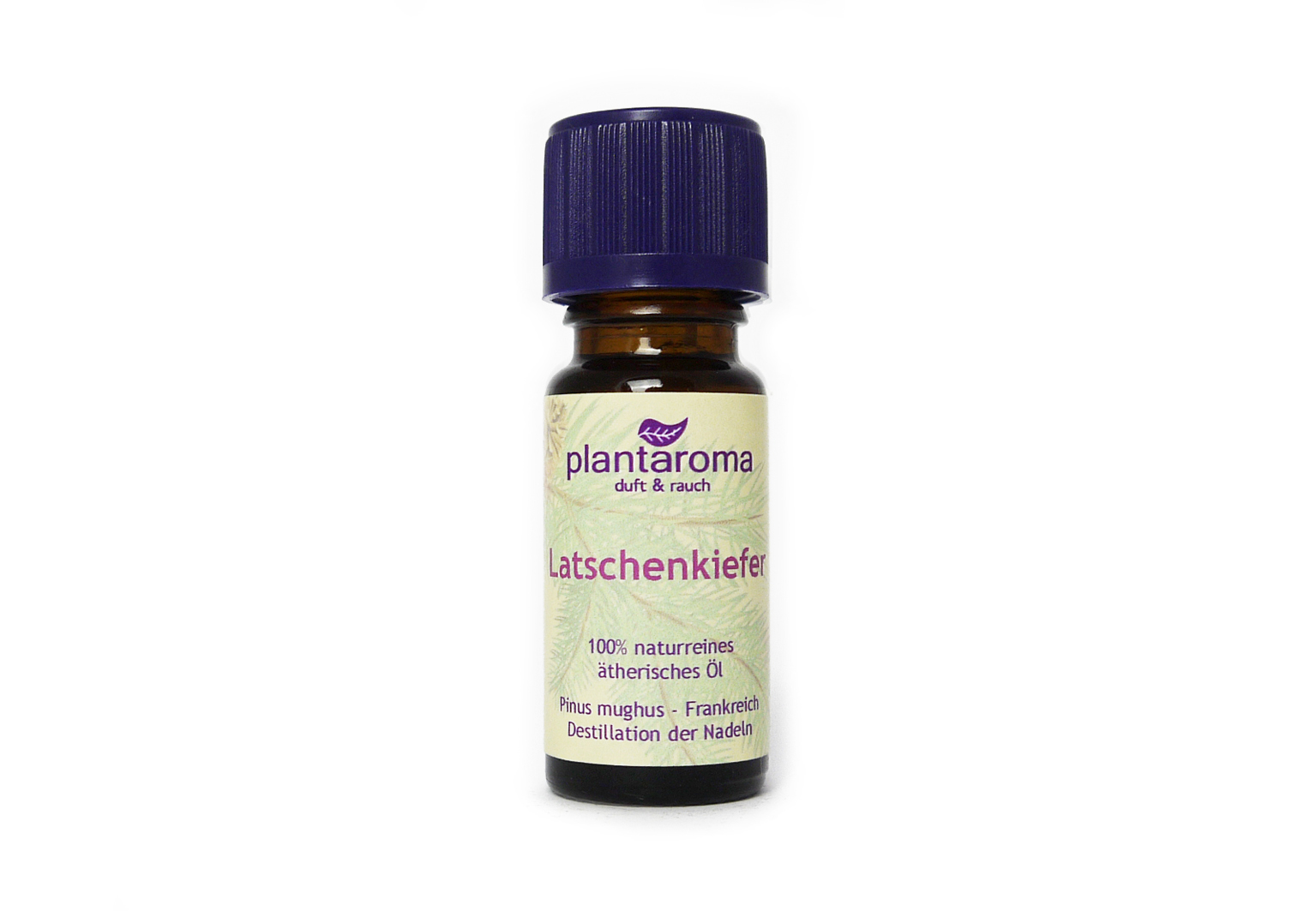 Latschenkiefer, 100 % naturreines ätherisches Öl