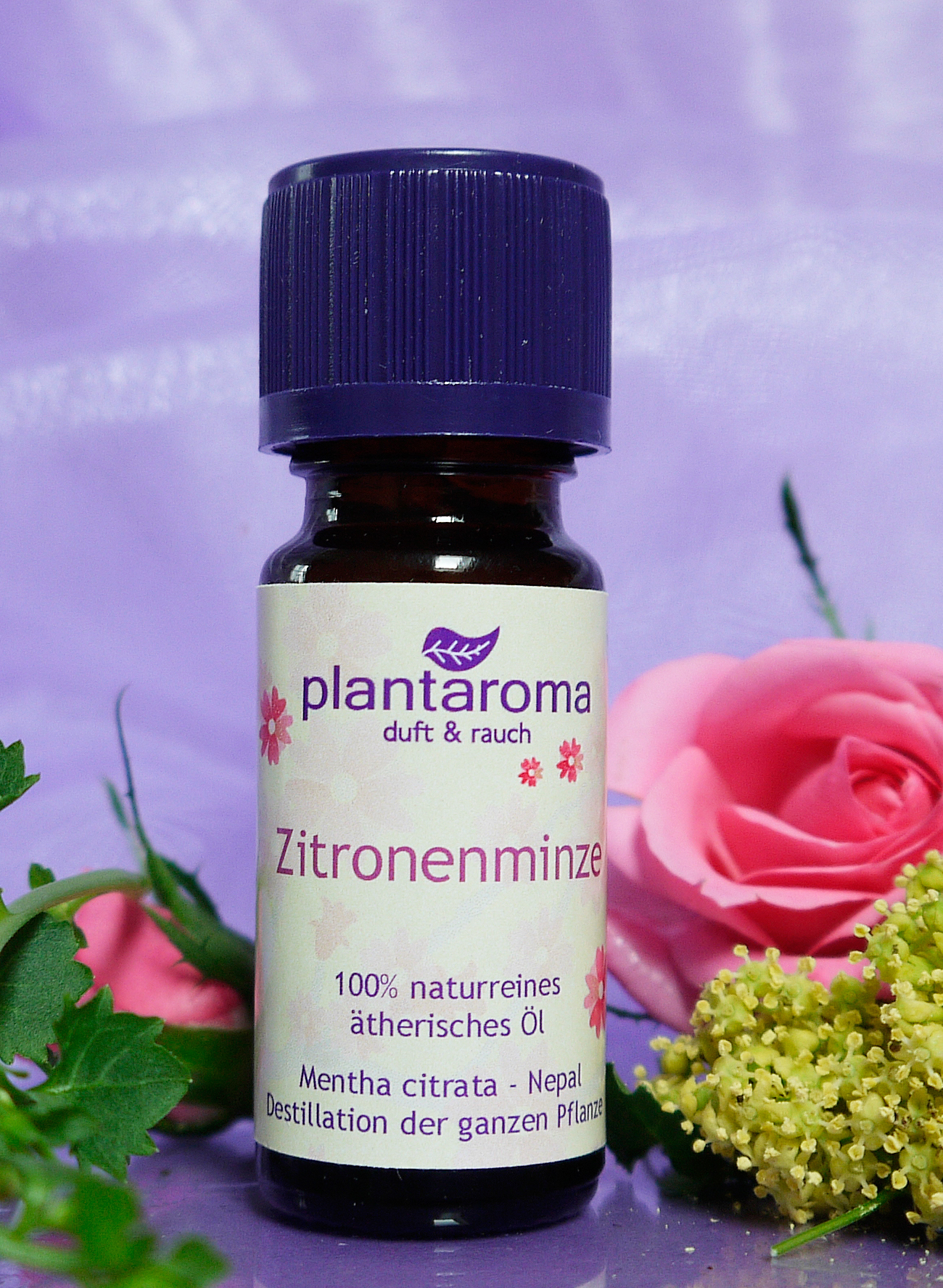 Zitronenminze, 100 % naturreines ätherisches Öl