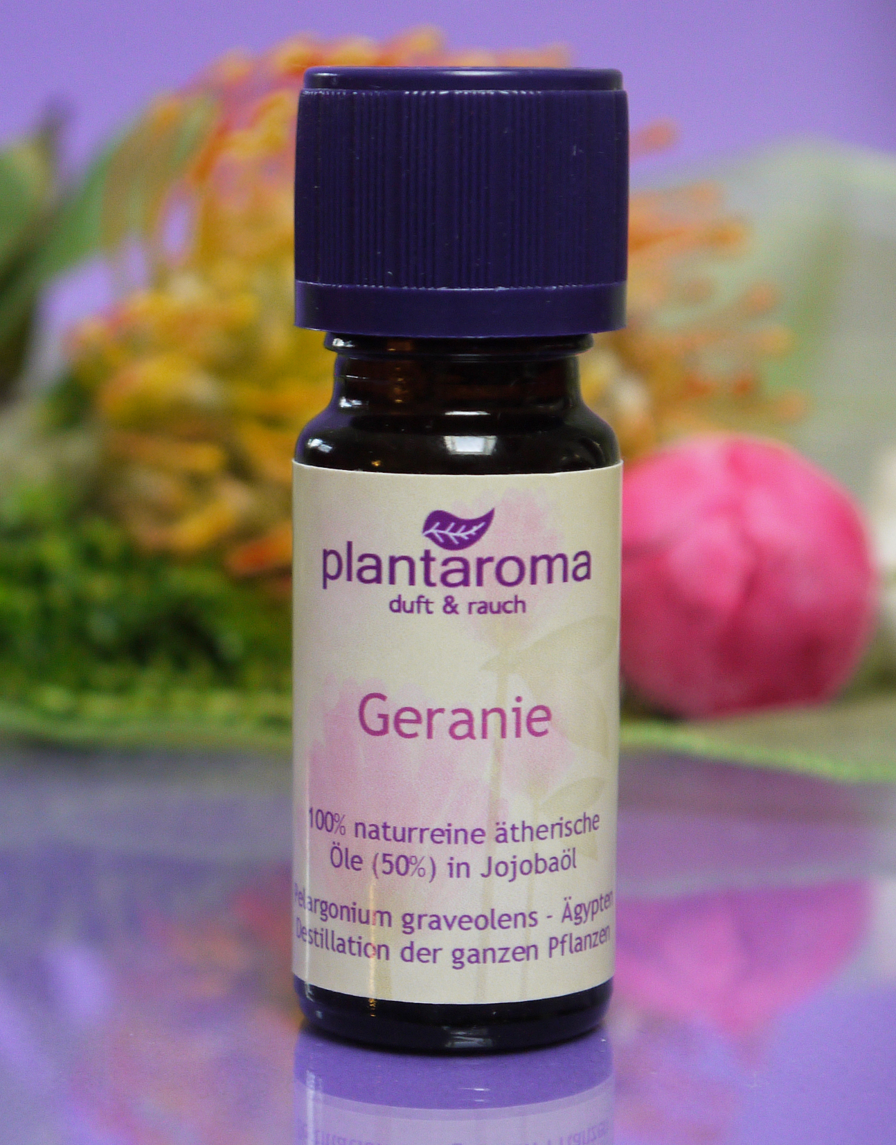 Geranie 50 % in naturreinem Jojoba
