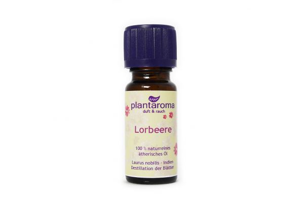 Lorbeere, 100 % naturreines ätherisches Öl
